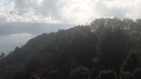 Kurgu Videolar