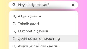 metinlerinizi hedef dile çeviririm