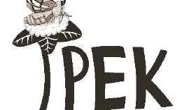 İpek tuhafiye logo 