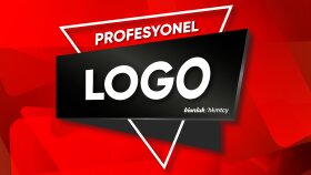 profesyonel logo tasarımı yapıyorum