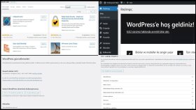Wordpress Optimize İşlemi