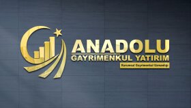 profesyonel logo tasarımı yaparım