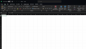 ihtiyacınıza özel profesyonel Excel dosyaları hazırlıyorum