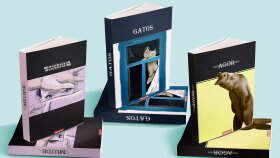 Kitap,dergi kapağı tasarımı