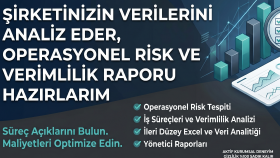 şirketinizin veri analizini ve risk matrislerini oluştururum