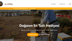 sana özel, kullanıcı dostu web sitesi hazırlayabilirim