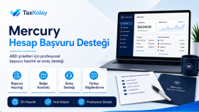 LLC şirketiniz için Mercury sürecini profesyonel yönetirim