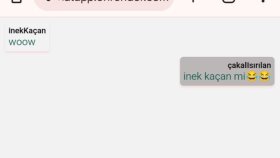 Gerçek Zamanlı Mini Chat Uygulaması (Socket.io ile)