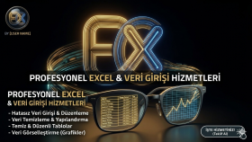 profesyonel veri girişi ve Excel düzenleme yaparım