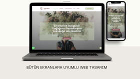 Profesyonel Wordpress Web Tasarım
