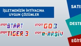 Logo Sistem Danışmanlığı