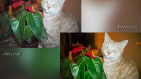 fotoğrafına istediğin duyguyu aktarıp düzenlerim