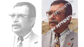 Sefil Selimi