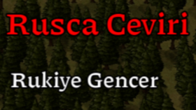 Oyun Çevirisi
