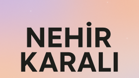 markanıza özel modern bir logo tasarlarım