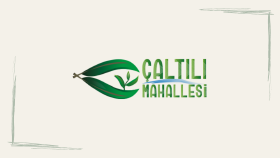 caltilikoyu.com logo tasarımı