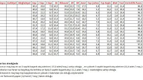 istatistiksel analiz ve raporlama yaparım