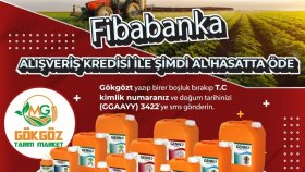 Ben firmanız için profesyonel post tasarım hizmeti veriyorum