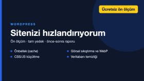 WordPress sitenizi hızlandırır, hız puanını yükseltirim
