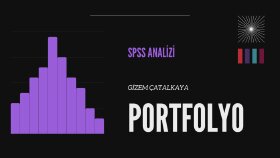 Profesyonel Veri Analizi: SPSS İstatistik ve Excel Raporlama