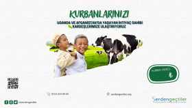 uzman olduğum konuda duyuru ve afişlerinizi tasarlayabilirim