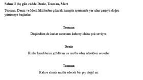 Kısa Senaryo Örneği