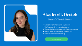 literatür taraması ve nitel veri analizi yapıyorum