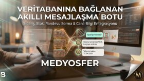 wordpress sitenize özel akıllı yapay zeka asistanı yapıyorum