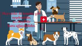 Infografik Video - Hayvan Hakları