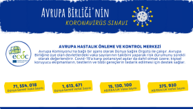 İnfografik Tasarımları