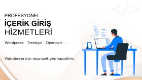 web sitenize içerik girişi yapabilirim