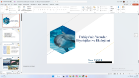 etkileyici ve profesyonel sunumlar hazırlayabilirim