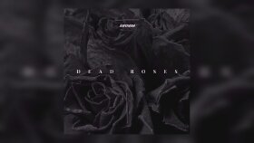 profesyonel beat ve müzik prodüksiyonu yapıyorum