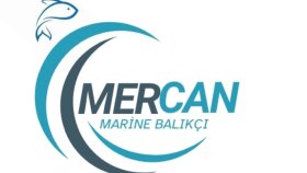 logo tasarım