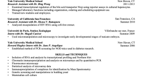 Akademik CV Örneği