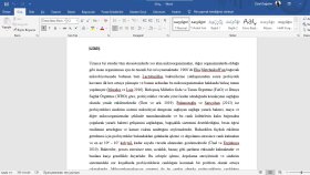 pdf'lerinizi word'e aktarabilirim