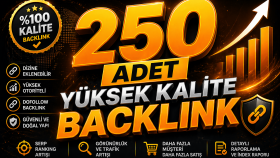 250 adet yüksek kalite backlink sağlarım