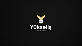 logo tasarımı