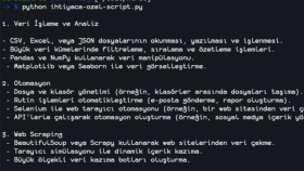 Python ile işinizi otomatikleştiren scriptler yazarım