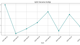  verinizi analiz edip grafiklerle anlamlı hale getiririm