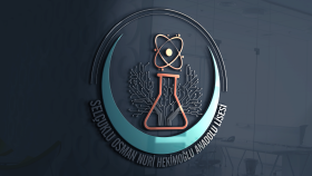Anadolu Lisesi Okul Logo Çalışması