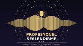 projelerinizi profesyenel Türkçe seslendiririm