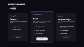 Demo Tasarım - 3'lü Fiyatlandırma Paketi
