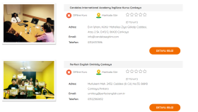 Wordpress Plugin ve Blog Tasarımı