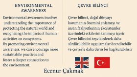 çeviri hizmeti sunarım