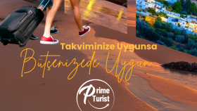 Seyahat Acentası Tasarım