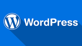 wordpress ile profesyonel web siteleri tasarlıyorum
