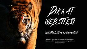 profesyonel websitesi tasarımı yapabilirim