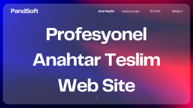 profesyonel web sitenizi anahtar teslim hazırlarım