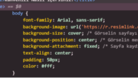Domain ve hostingi işlemlerinizi sizin için yaparım